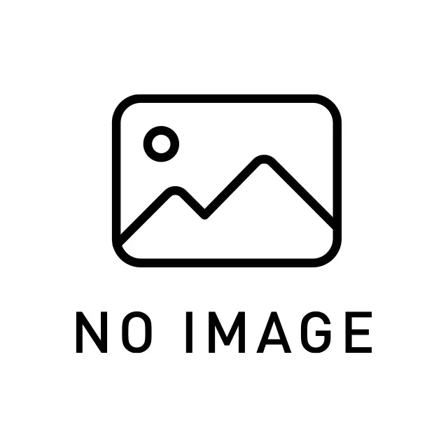 遺品整理 作業風景